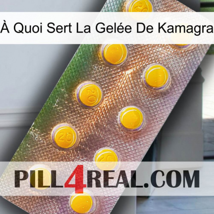 À Quoi Sert La Gelée De Kamagra new11